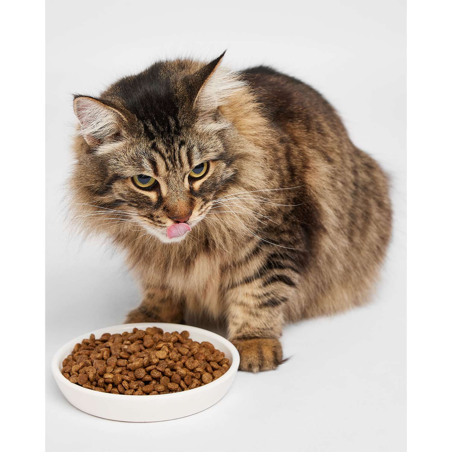 Корм для кошек Harty 0.3кг стерилизованных для профилактики МКБ с индейкой сухой - фото 6