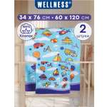 Полотенце Wellness МЕЧТА_13-53 Набор_2 60 x 120 см 2 шт.