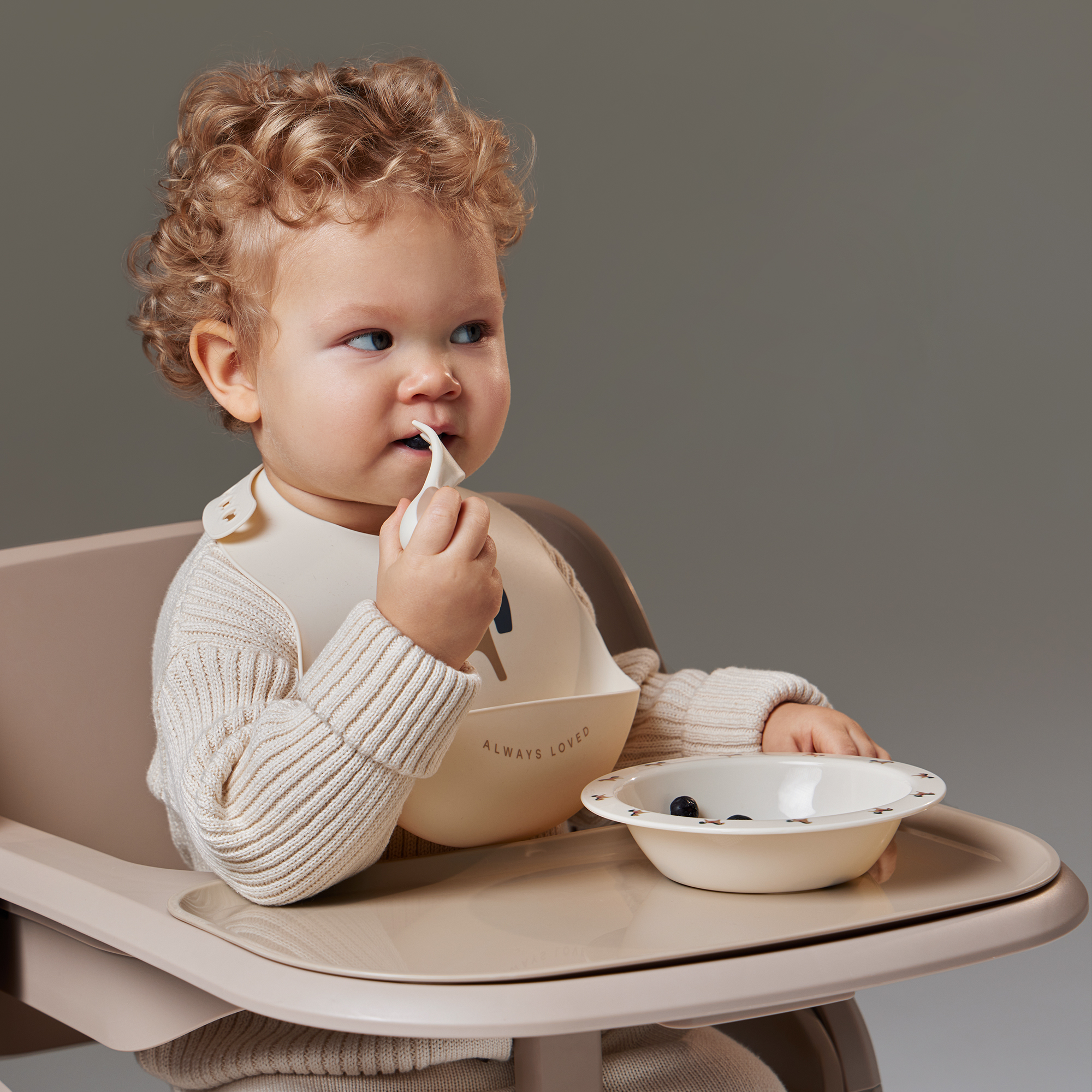 Стульчик для кормления Happy Baby Charley классический - фото 16