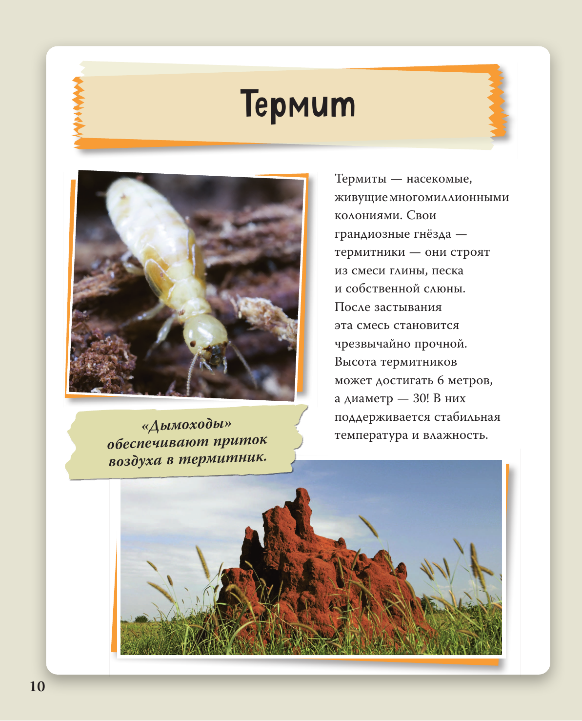 Книга Эксмо Удивительные животные нашей планеты - фото 19