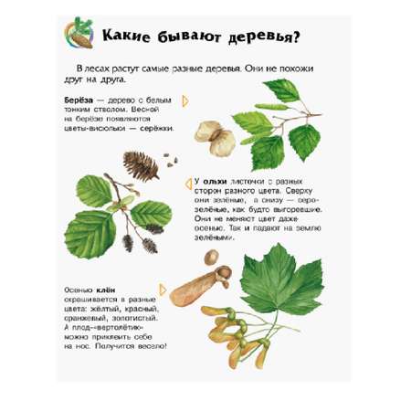 Книга РАНОК Лес