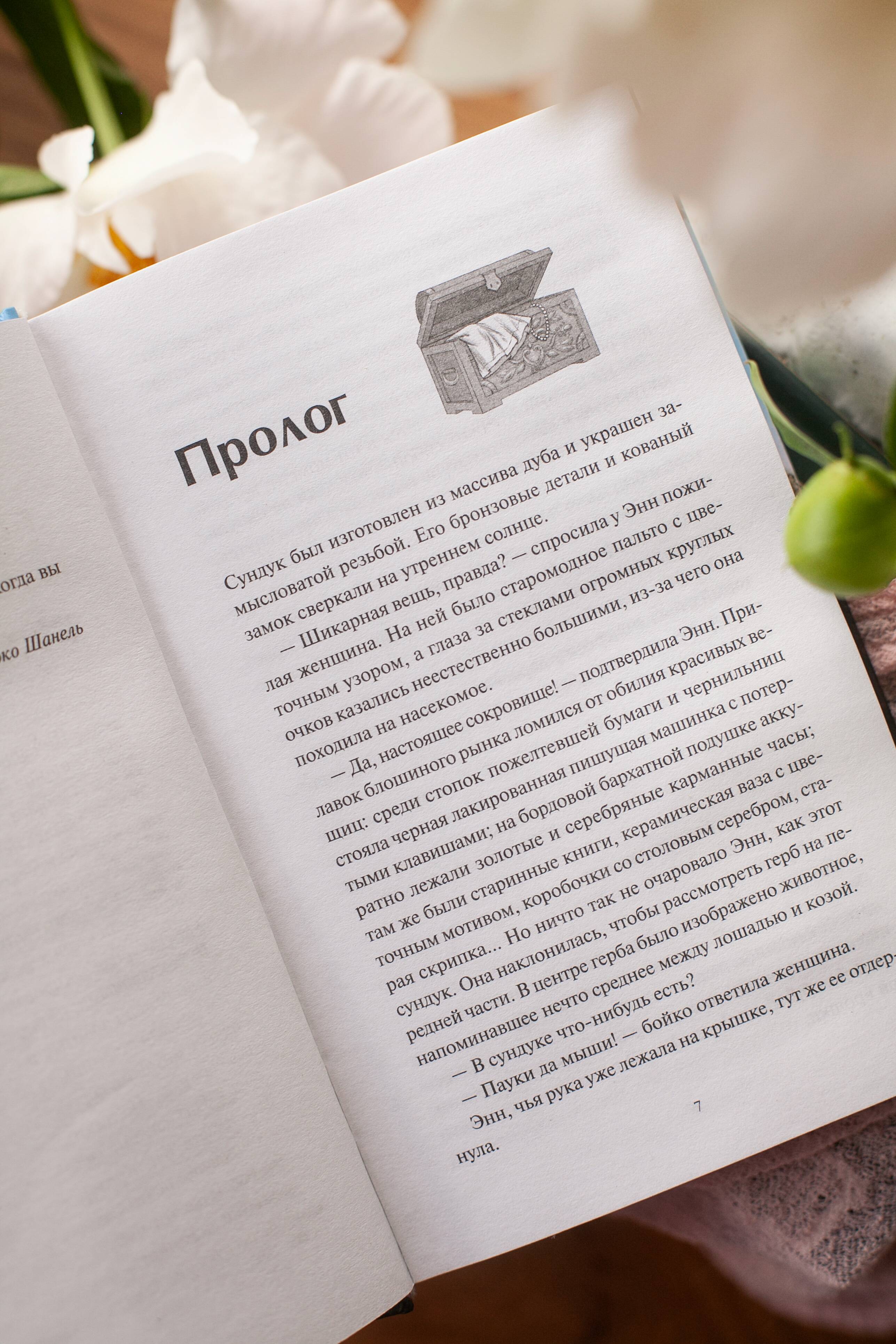 Книга Миф Книжная деревушка в Шотландии Лето надежд - фото 7