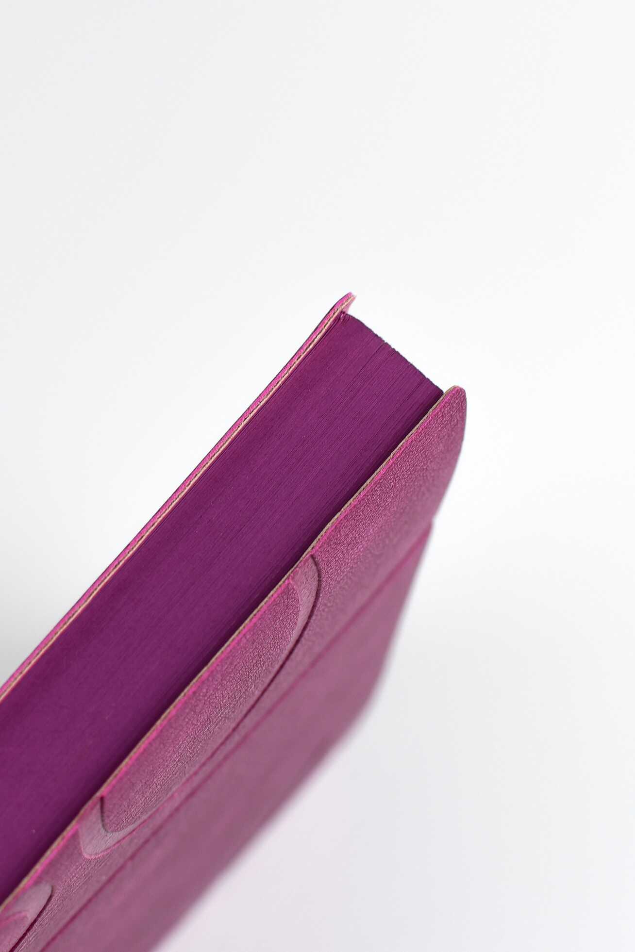 Ежедневник Феникс + ESCALADA 176 лист. - фото 11