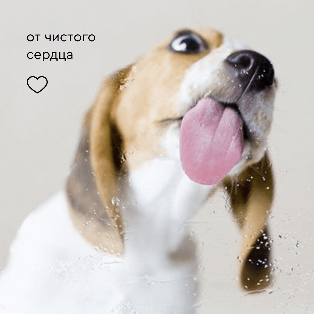 Кератиновая маска Keralive ProAnimal универсальный профессиональный восстанавливающий для собак - фото 6