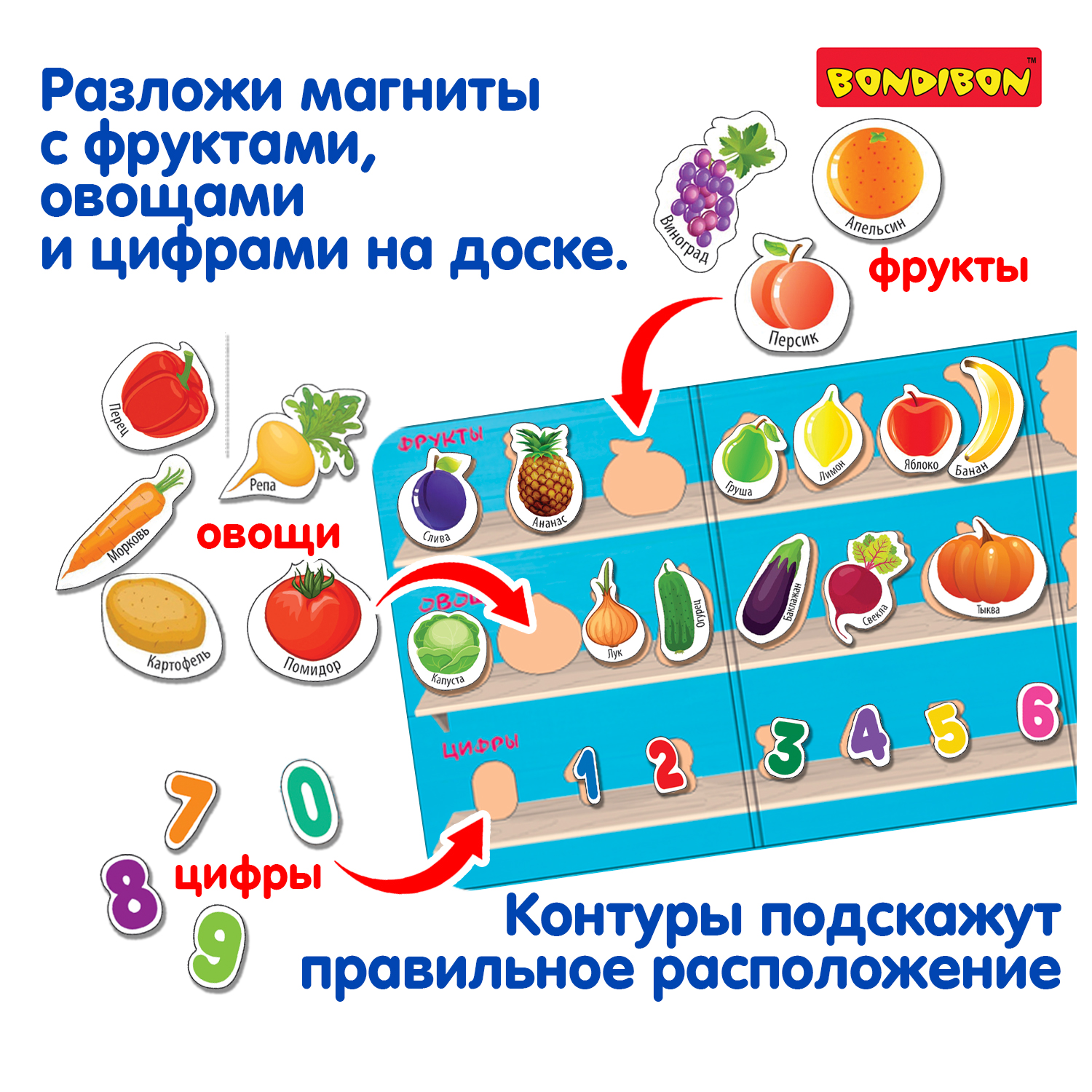 Настольная игра Bondibon магнитная Разложи по полкам - фото 2