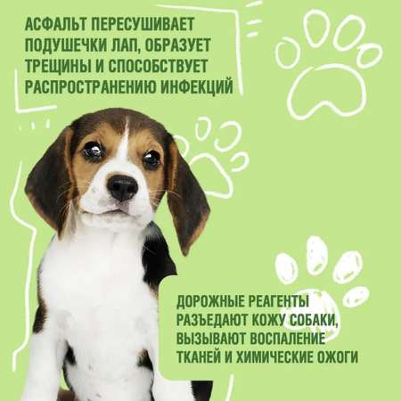 Шампунь для собак ECOZAVR с Пантенолом 4.5л