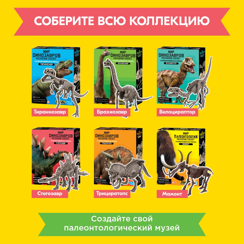Набор для раскопок 4M - фото 11