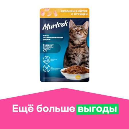 Корм для кошек Murlesk курица в соусе 75г