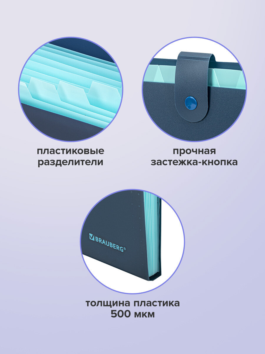 Папка-органайзер Brauberg А4 - фото 4