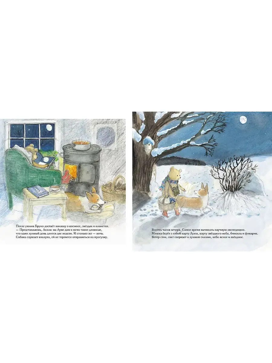 Книга Мелик-Пашаев Зима мишки Бруно - фото 3