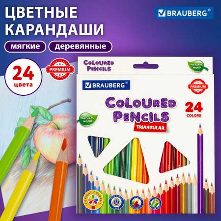 Карандаши цветные Brauberg 24 шт.