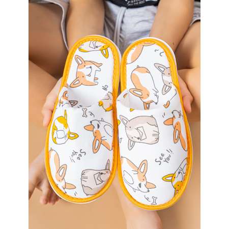 Тапочки IVShoes