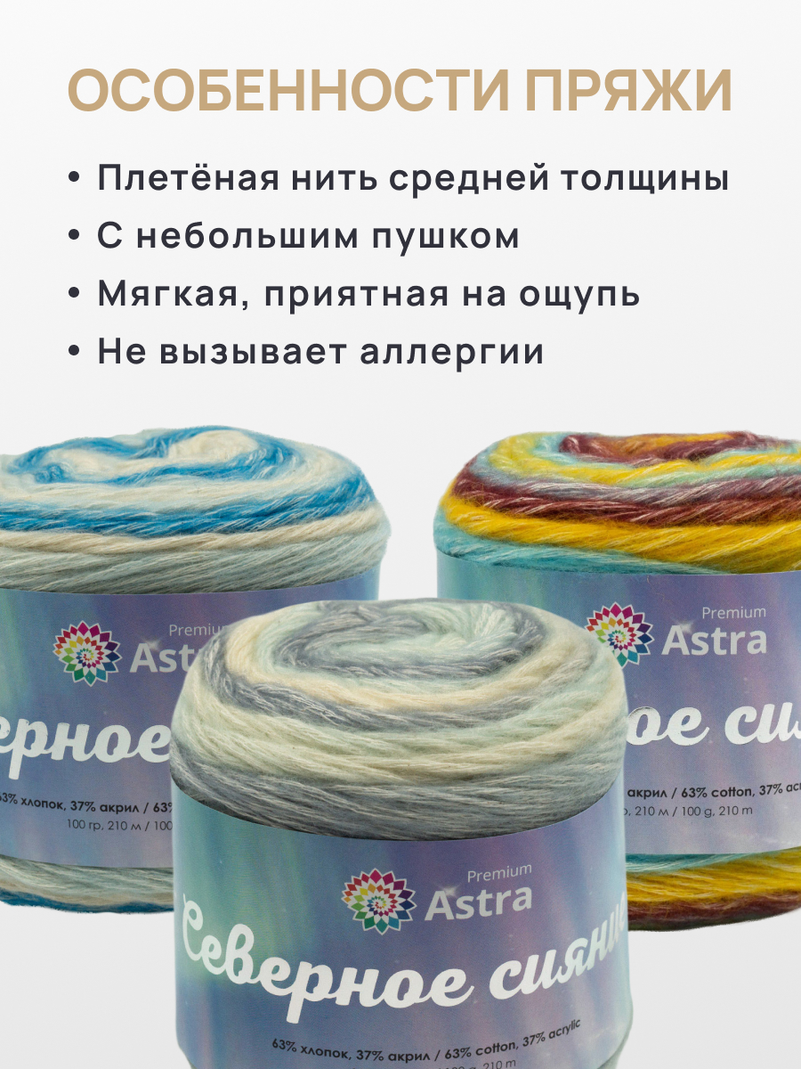Пряжа Astra Premium 100гр 210м 3шт - фото 3