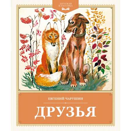 Книга Махаон Друзья.