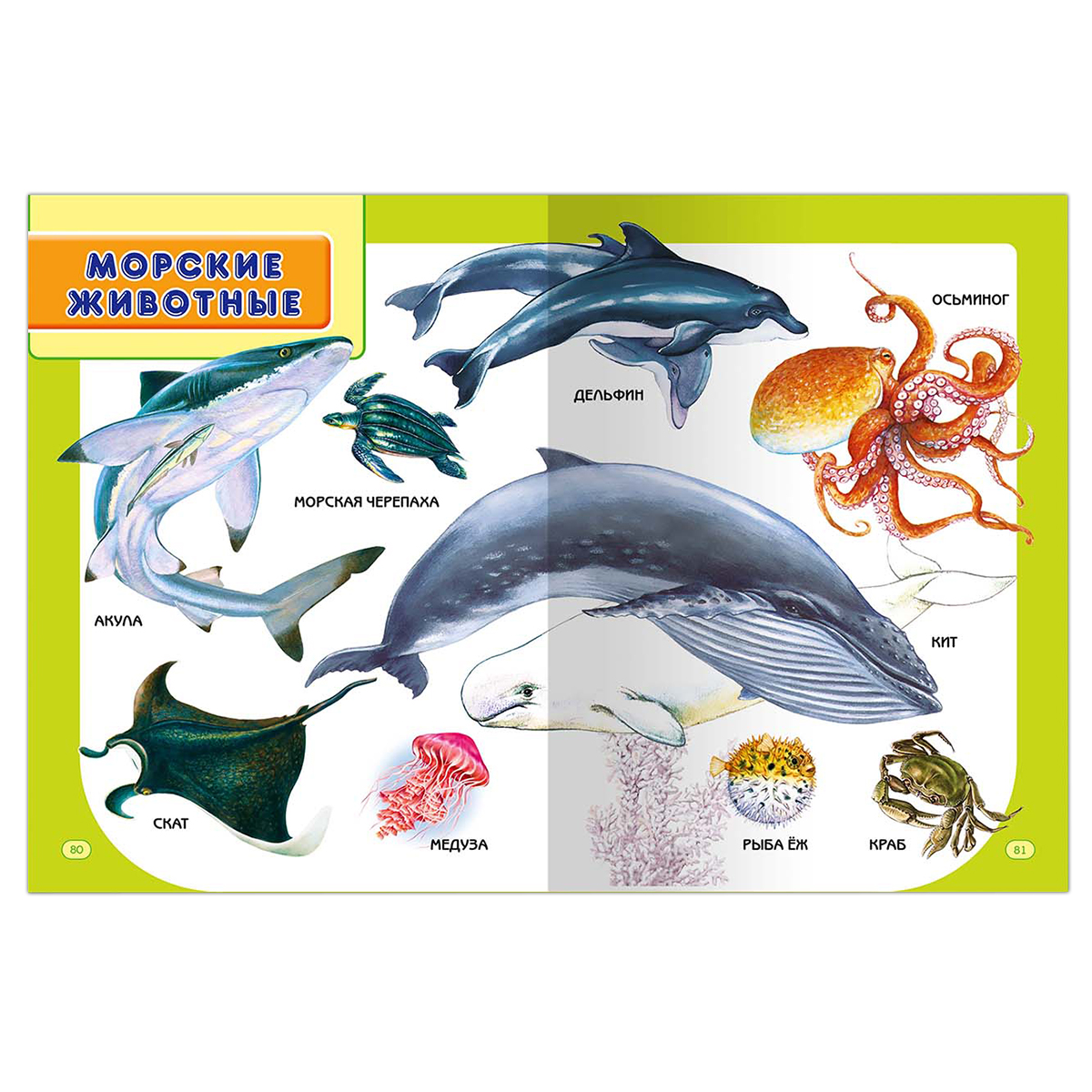 Книга Омега-Пресс Самая первая книга для малышей - фото 15