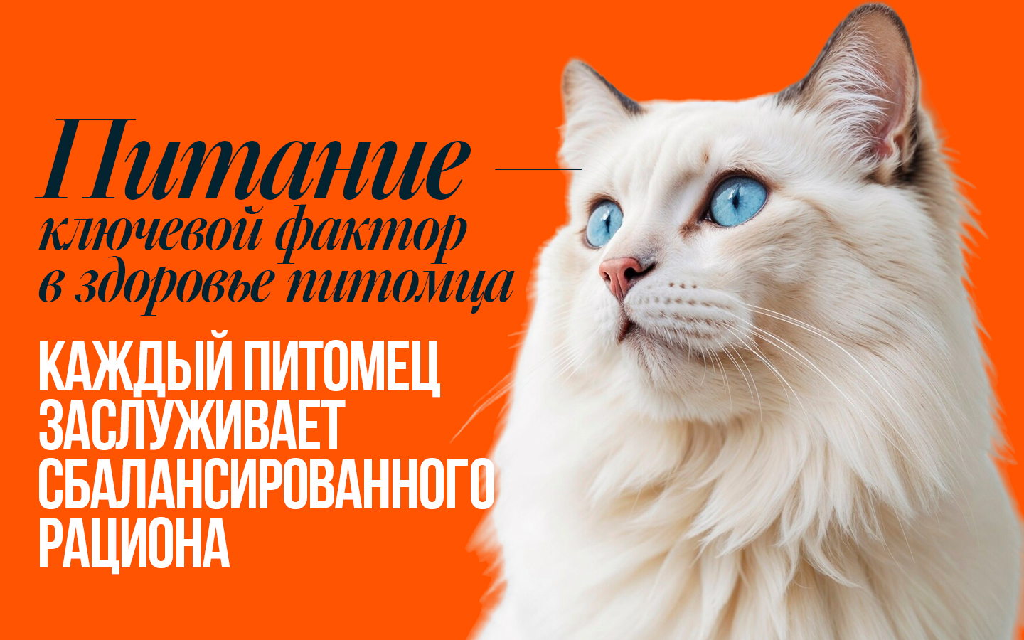 Корм сухой для кошек Profifeed Со вкусом кролика 10кг - фото 8