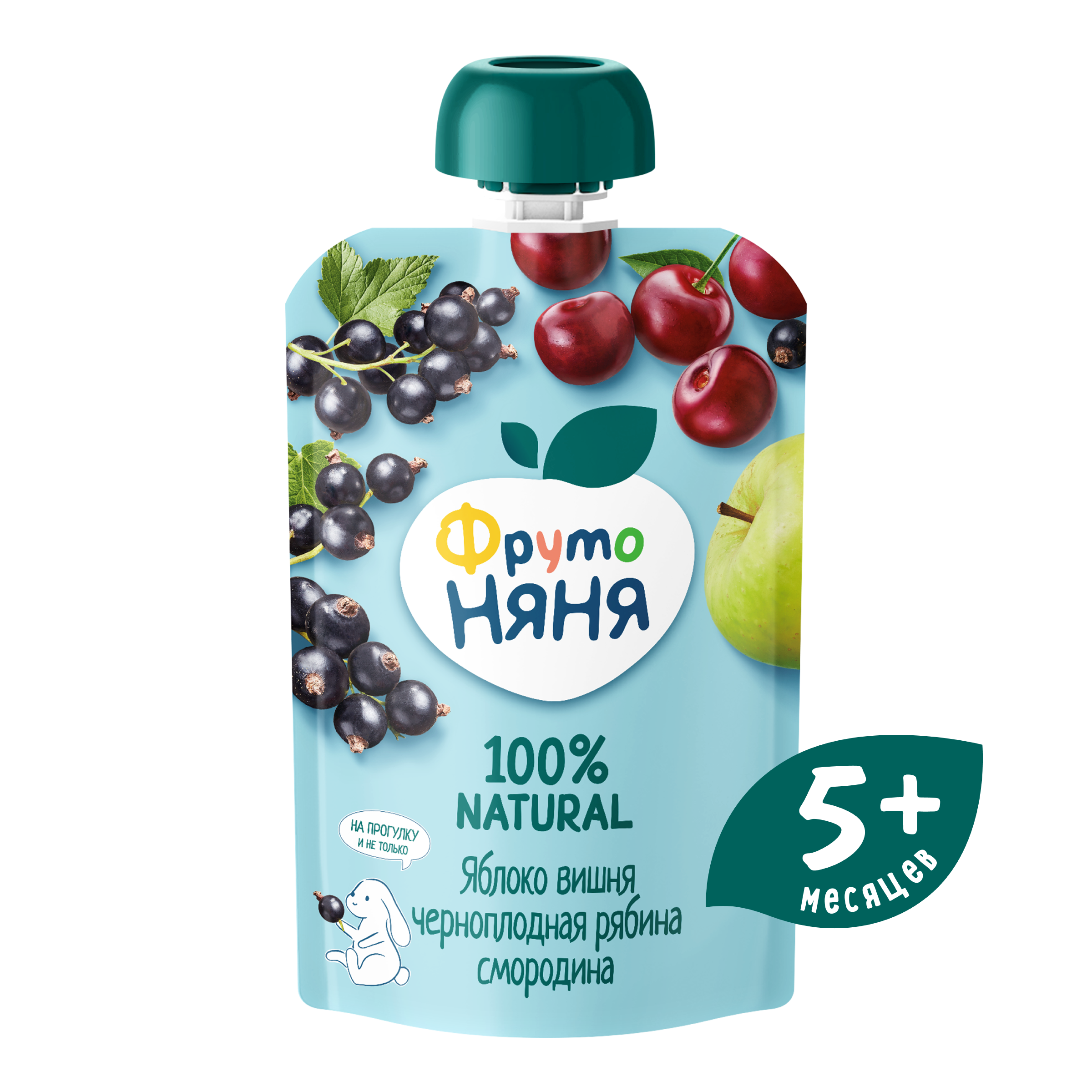 Десерт ФрутоНяня Яблоко-вишня-рябина с 5 мес 90 г - фото 1
