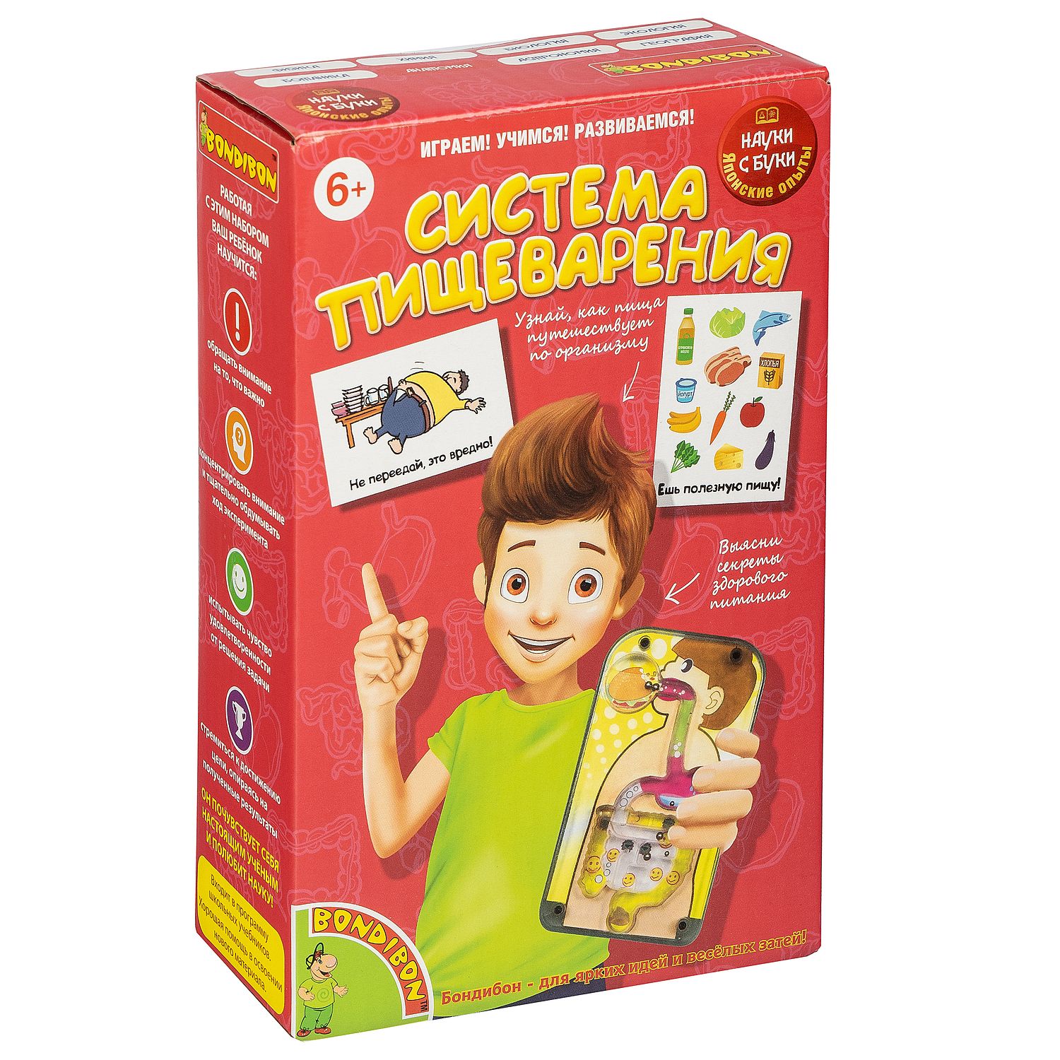 Наглядное пособие Bondibon - фото 3