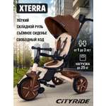 Трехколесный велосипед CITYRIDE