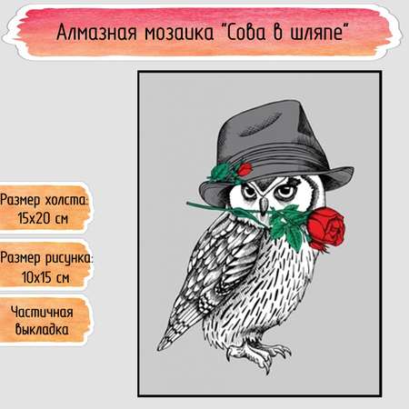 Алмазная мозаика Seichi Сова в шляпе