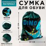 Мешок для обуви ArtFox STUDY Дино