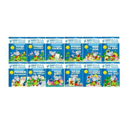 Комплект МОЗАИКА kids ШСГ 2-й год обучения.