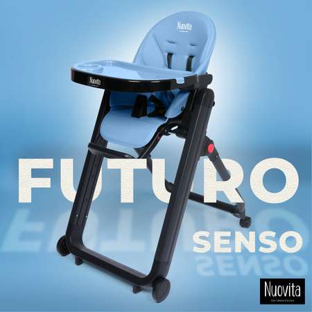 Стульчик для кормления Nuovita Futuro Senso голубой