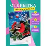 Набор для творчества Волшебная мастерская Снегирь