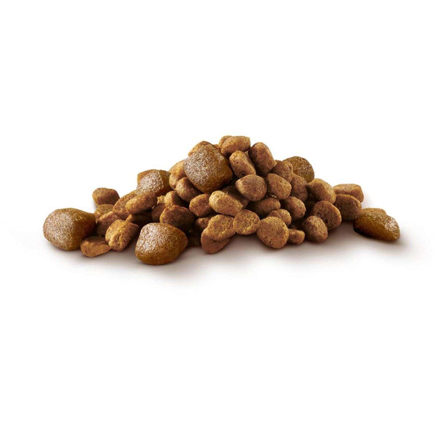 Корм для собак Purina One Mini Mini активных мелких пород курица-рис 1.5кг - фото 4