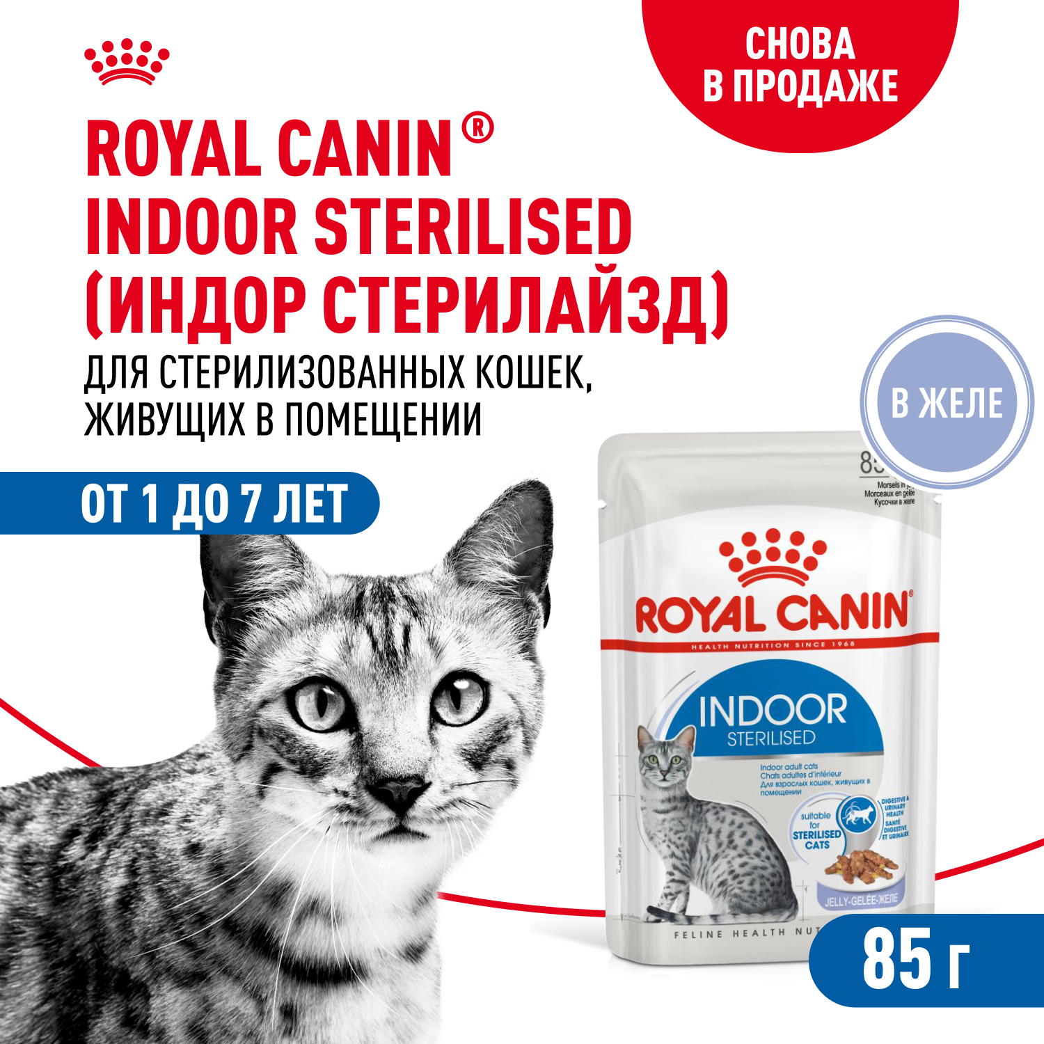 Корм влажный ROYAL CANIN Indoor Sterilised для кошек стерилизованных кусочки в желе - фото 2