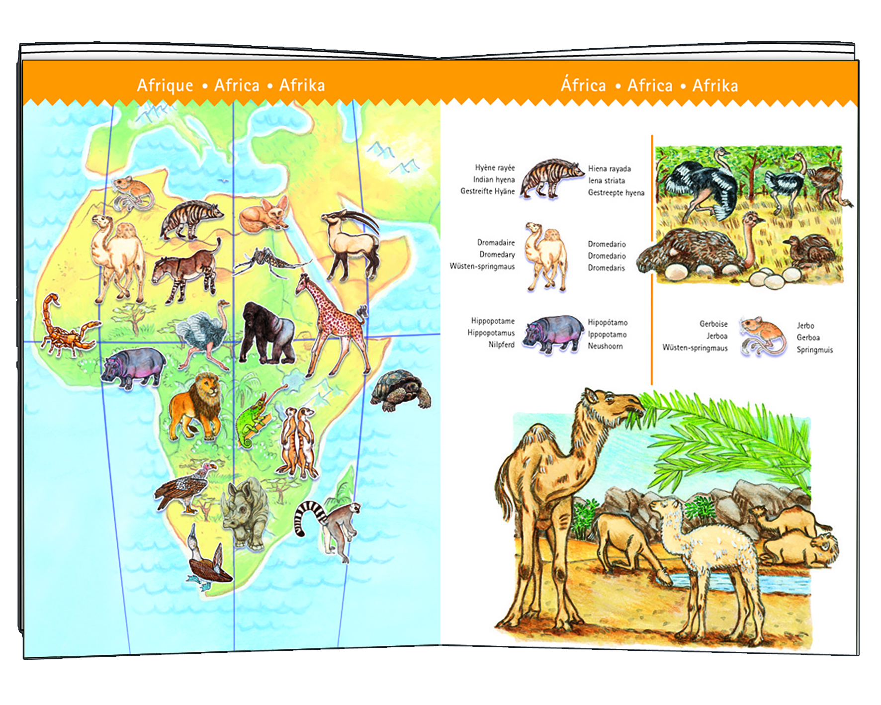 Пазл Djeco классический - фото 1