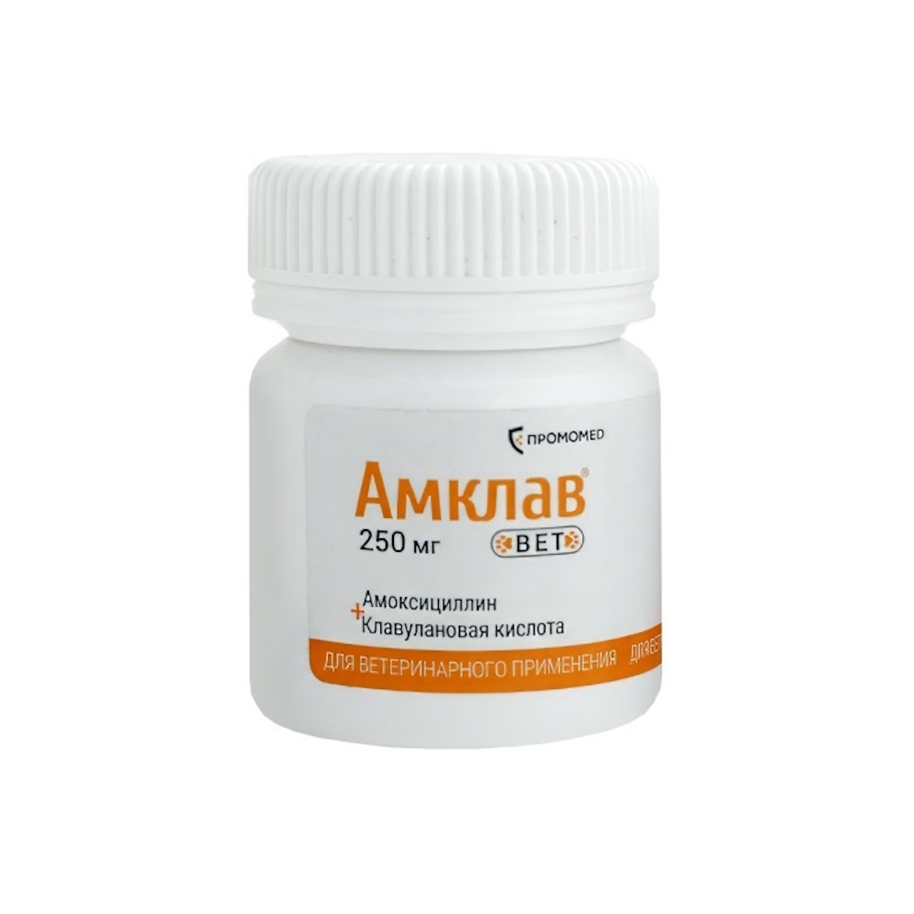 Таблетки Амклав вет для приема внутрь 250мг №10 - фото 1