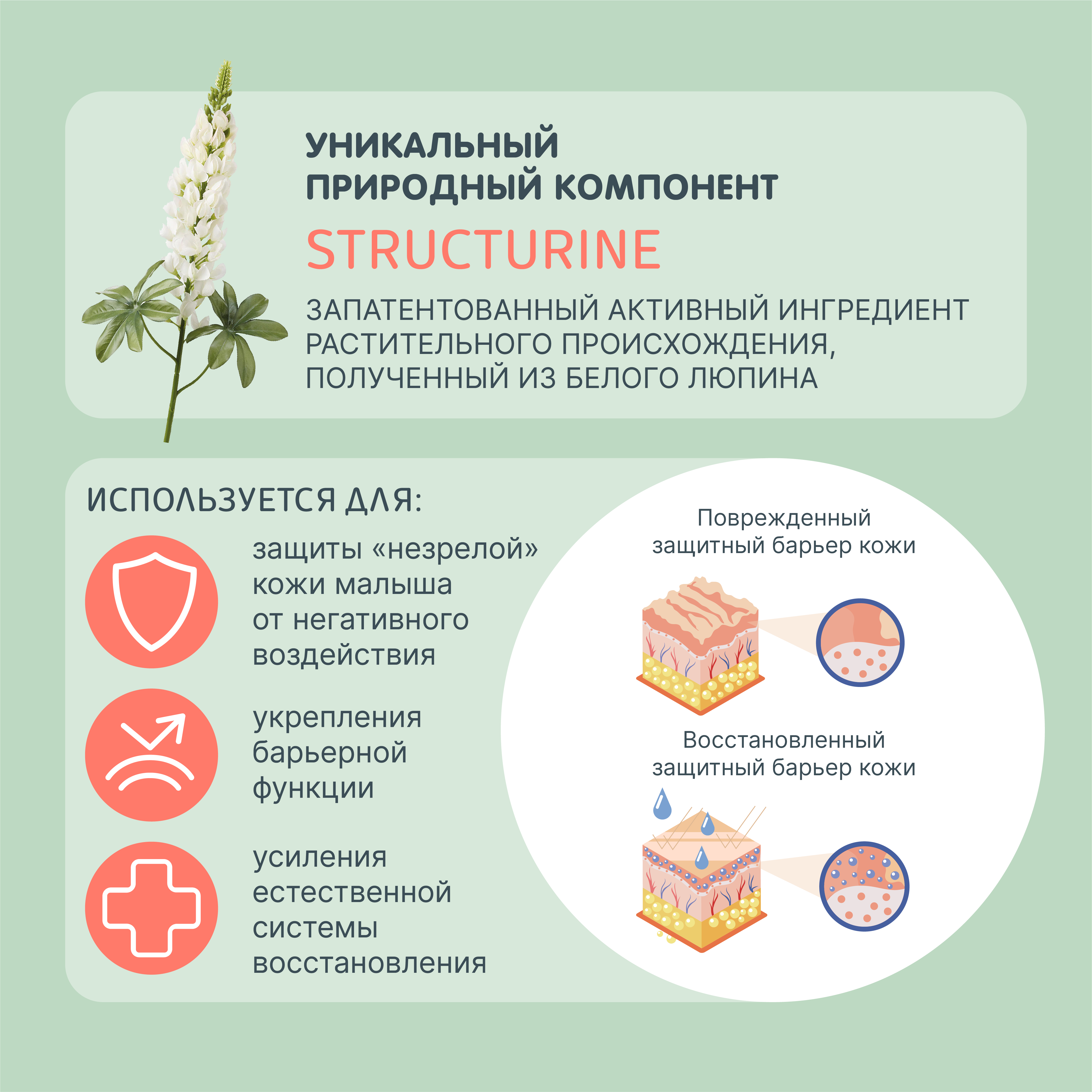 Крем MEDILANA Эмолент 100 мл - фото 7