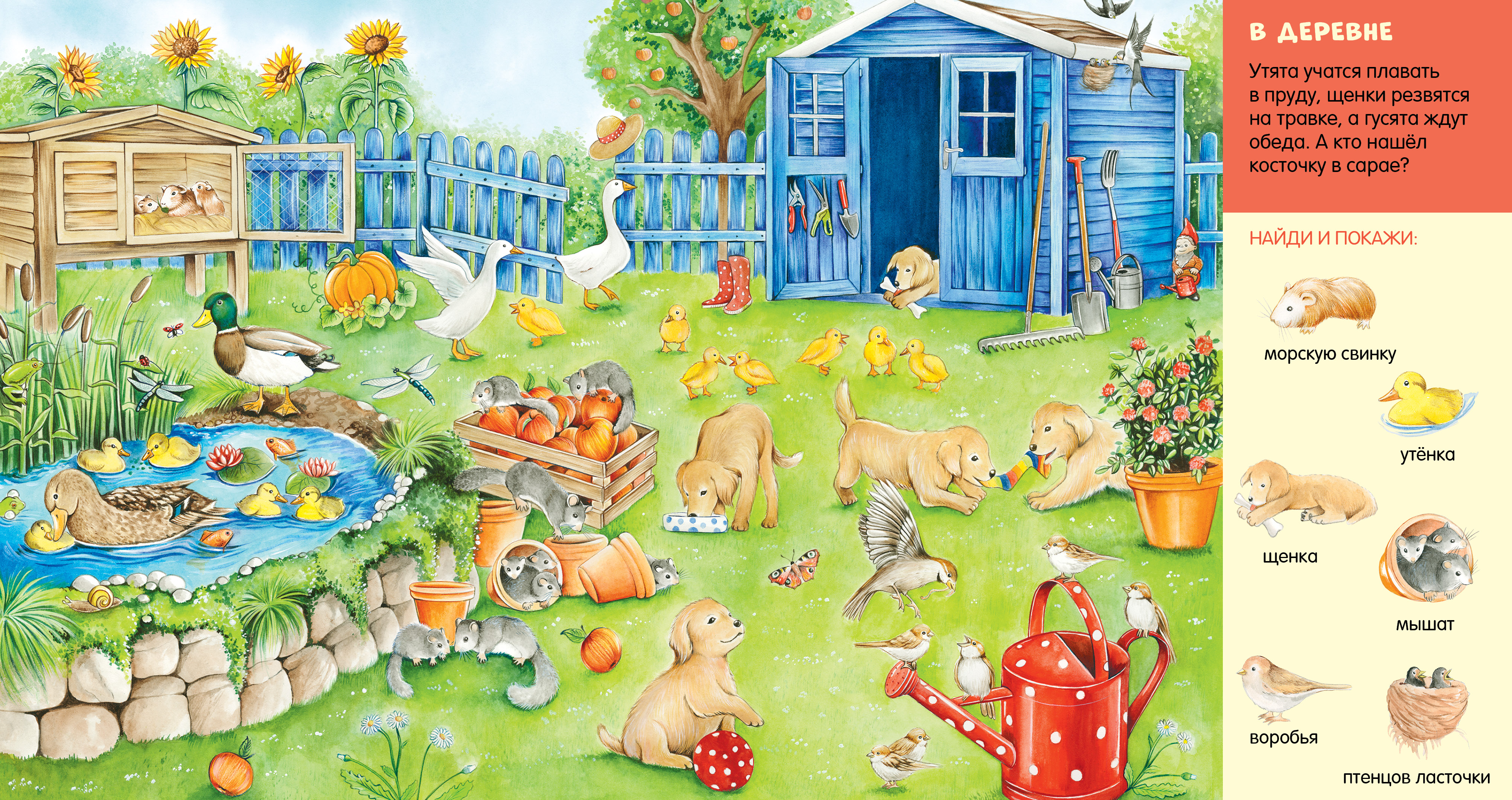 Книга Clever Найди и покажи, малыш - фото 4