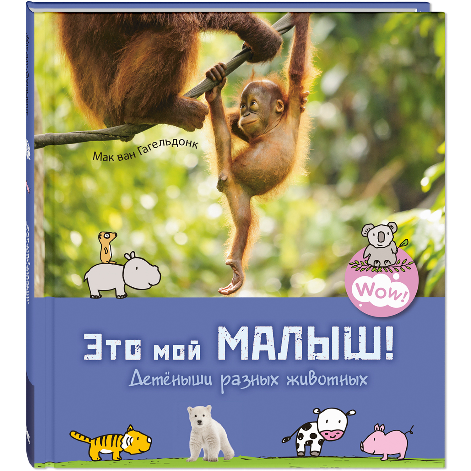 Книжные комплекты ЭНАС-книга Чудеса животного мира. Четыре познавательные книги для младшеклассников - фото 6