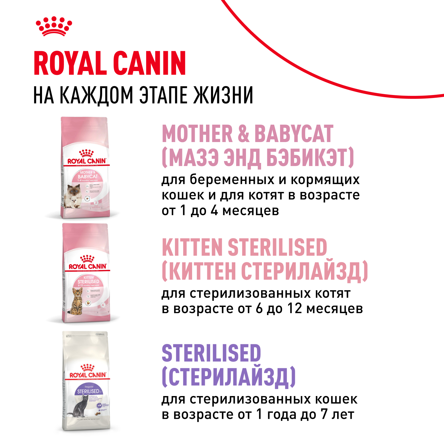 Корм сухой для котят ROYAL CANIN Kitten 1.2кг - фото 11