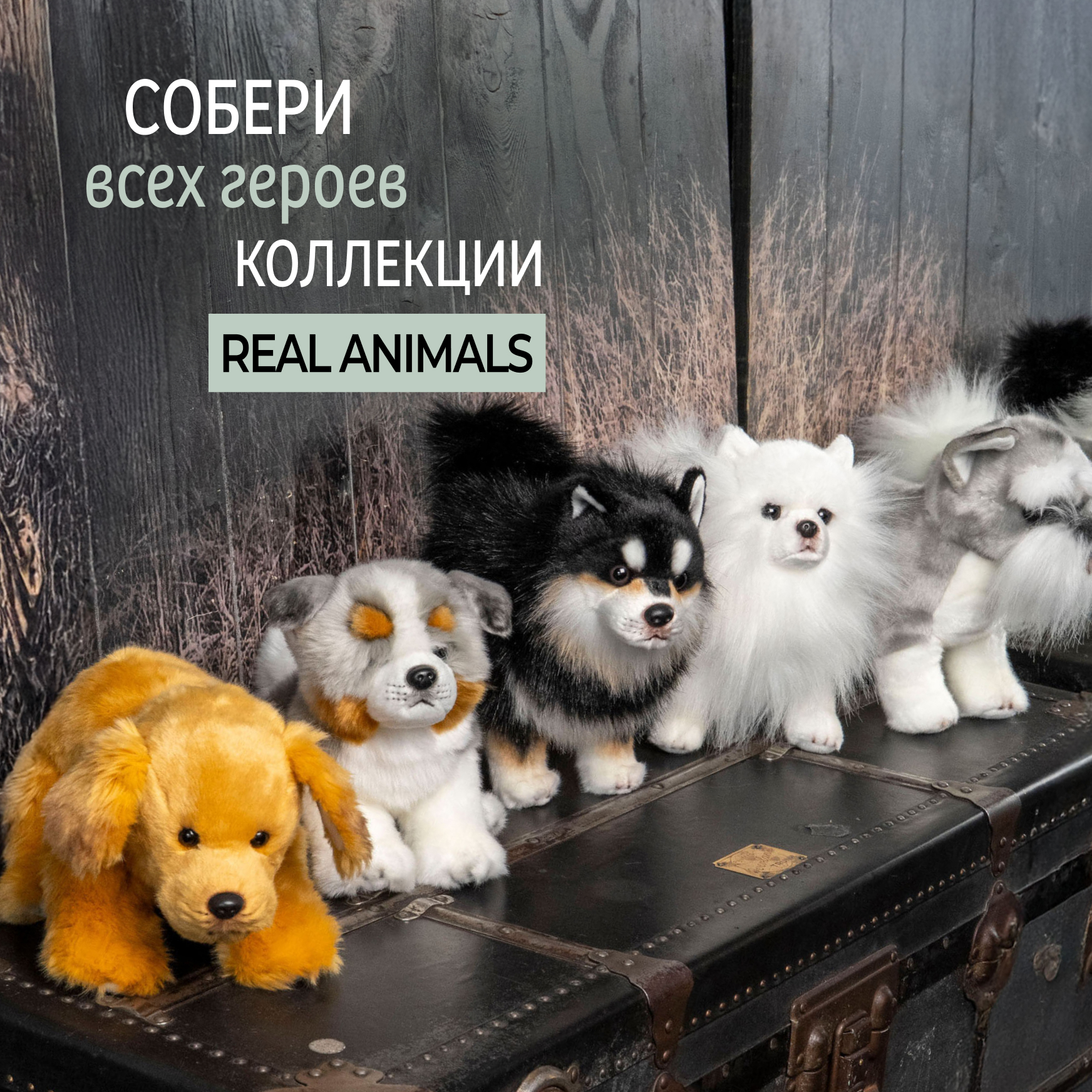 Мягкая игрушка Gulliver собачка Шнауцер 27 см - фото 11