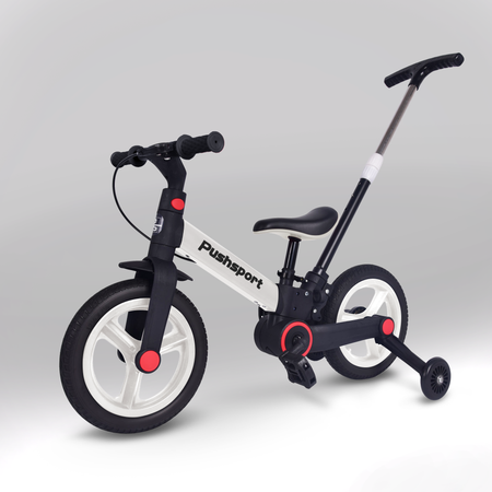 Двухколесный велосипед Pushsport 12 дюймов