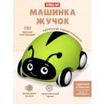 Насекомое Стеллар Зеленый жучок