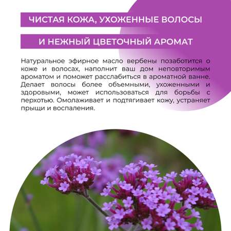 Масло Siberina