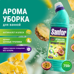 Чистящее средство Sanfor Сочные тропики 750 г для сантехники 1 упак.