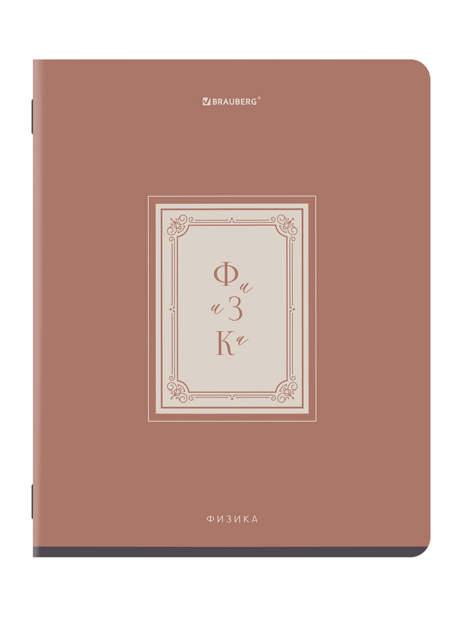 Тетрадь Brauberg 48 лист. 12 шт. - фото 17