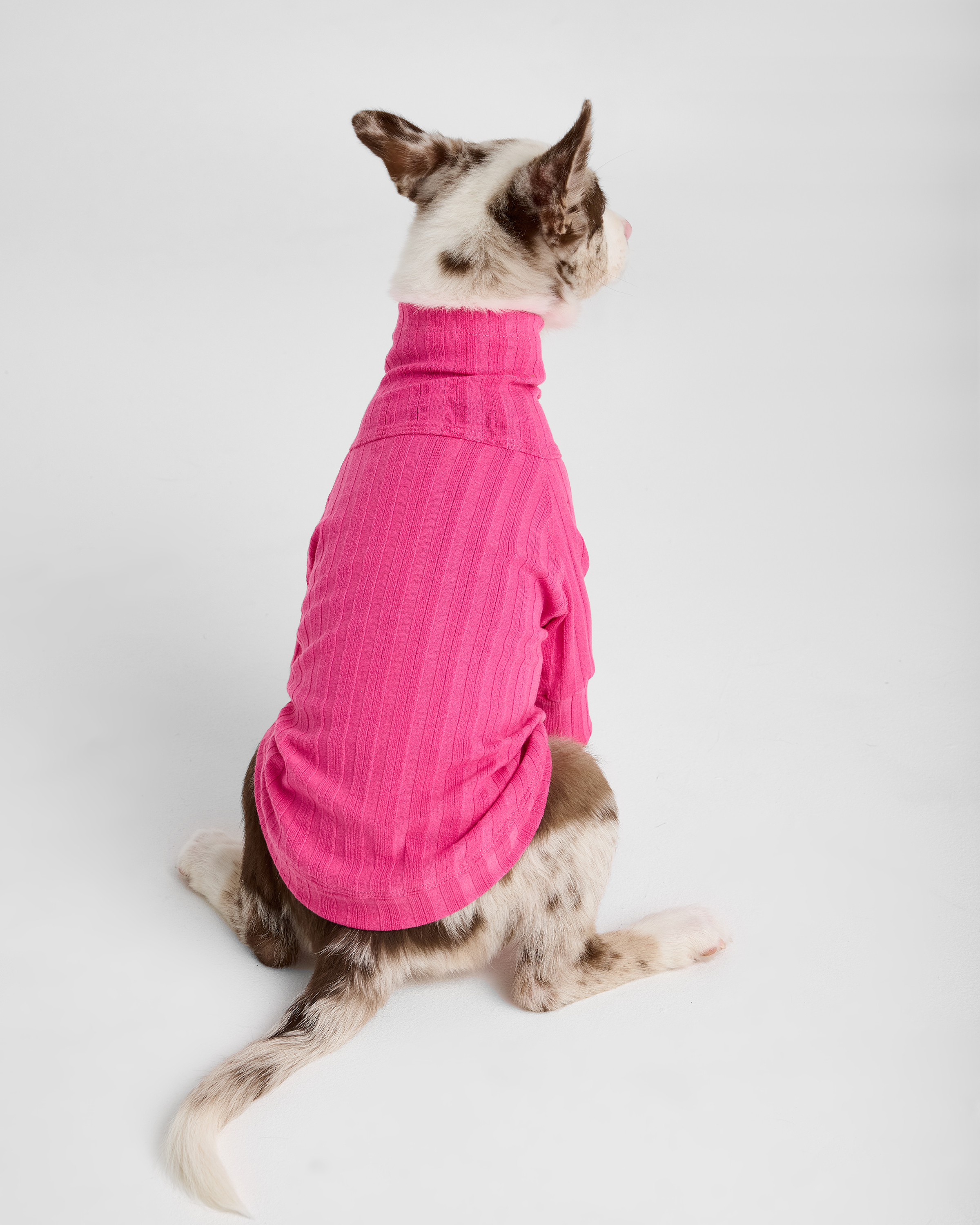 Водолазка для собак и кошек Зоозавр - фото 4