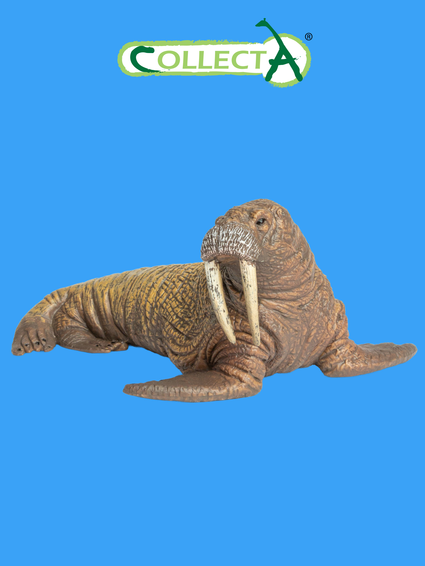 Фигурка Collecta Морж - фото 1