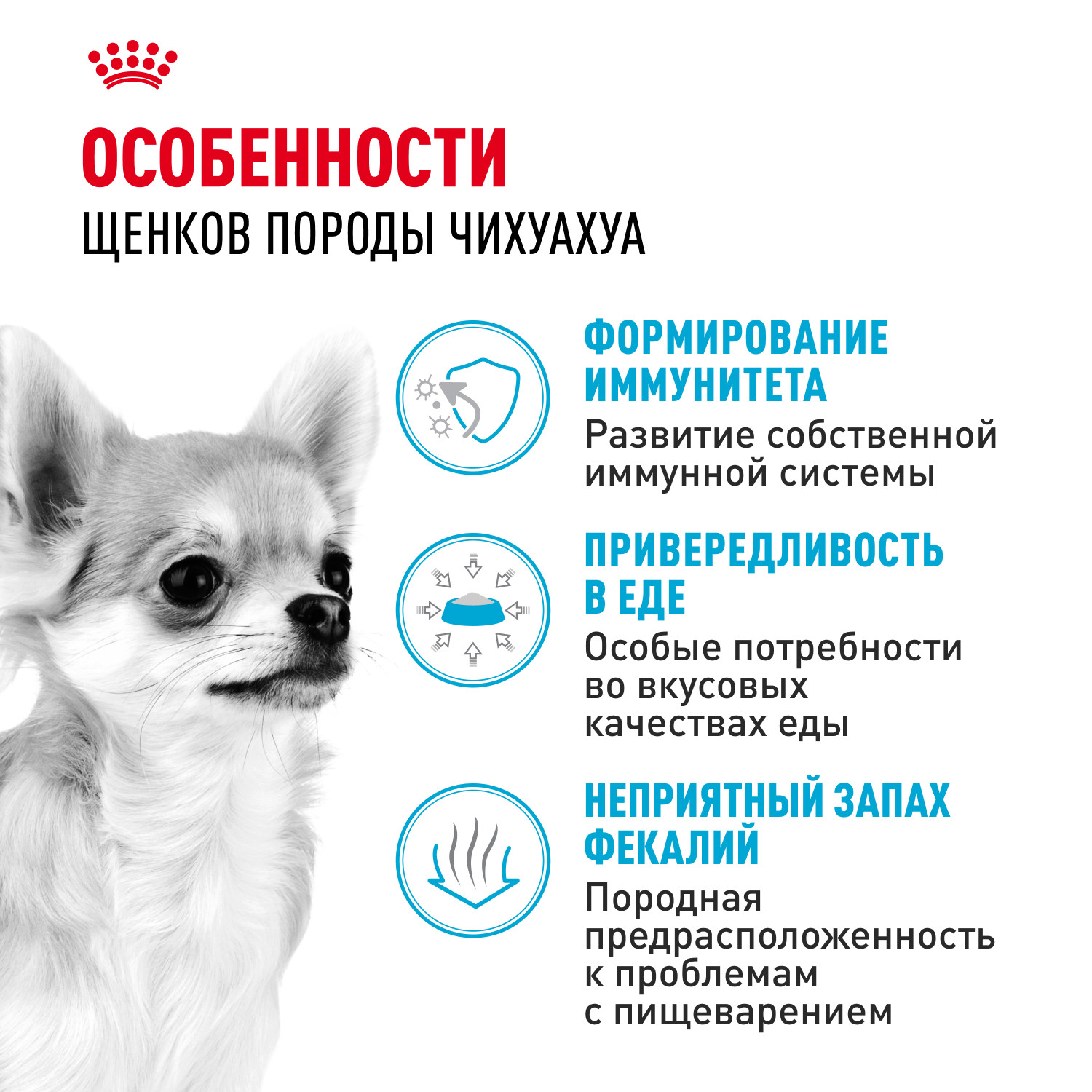 Корм для щенков ROYAL CANIN породы чихуахуа 500г - фото 2