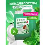 Средство для мытья посуды SEPTIVIT Альпийская мята 5л