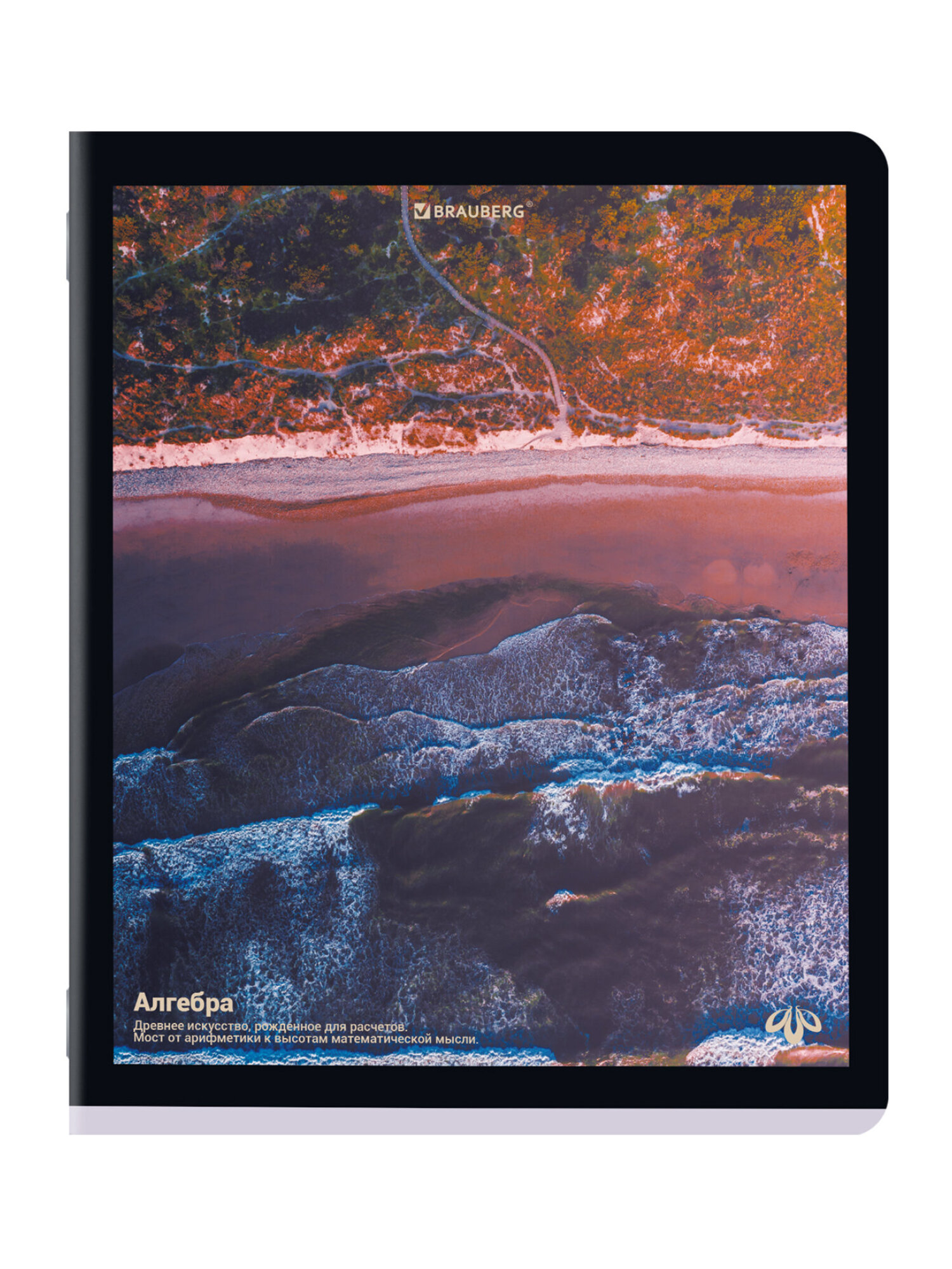 Тетрадь Brauberg 48 лист. 12 шт. - фото 7