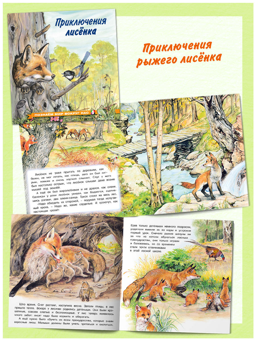 Комплект книг Фламинго Сказки для детей Рассказы о животных Приключения Лисенка Козленка Олененка Щенка - фото 6