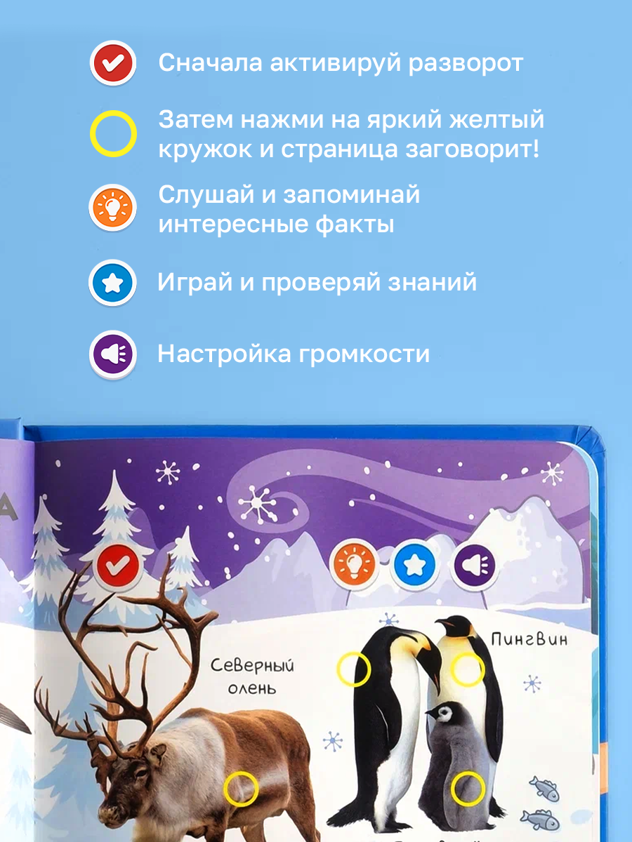 Книга BertToys электронная говорящая интерактивная Нажималка Животные - фото 6