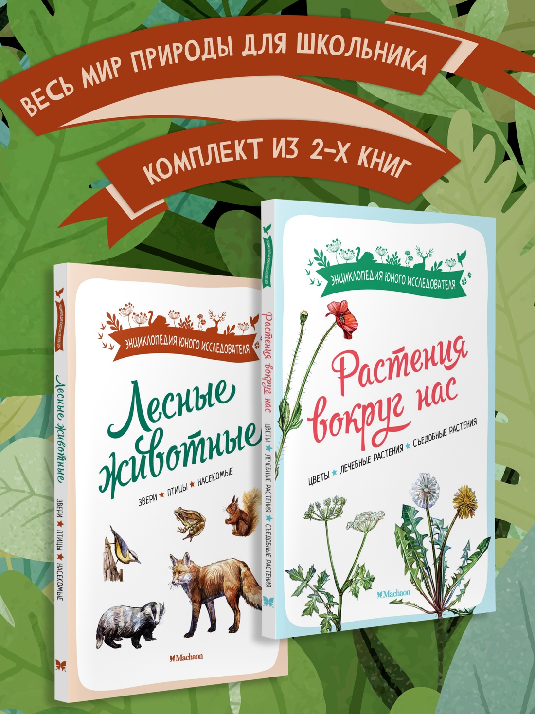 Книга Махаон Весь мир природы для школьника Комплект из 2 х книг - фото 2